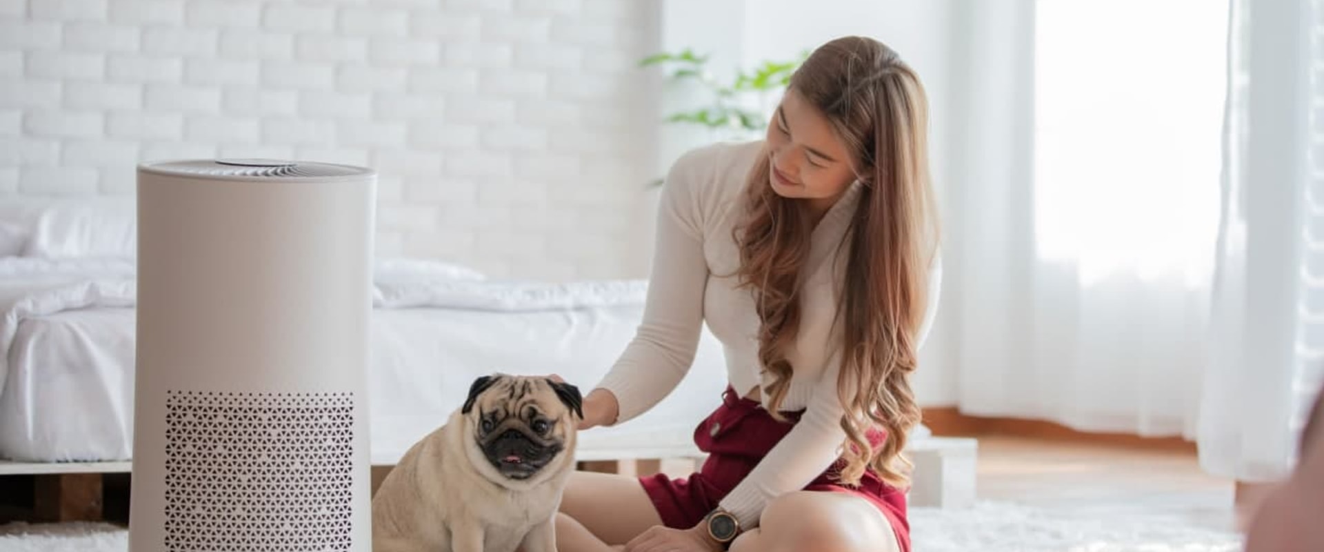 25x25x1 Air Filters and The Secret to a Dust-Free Home Environment
